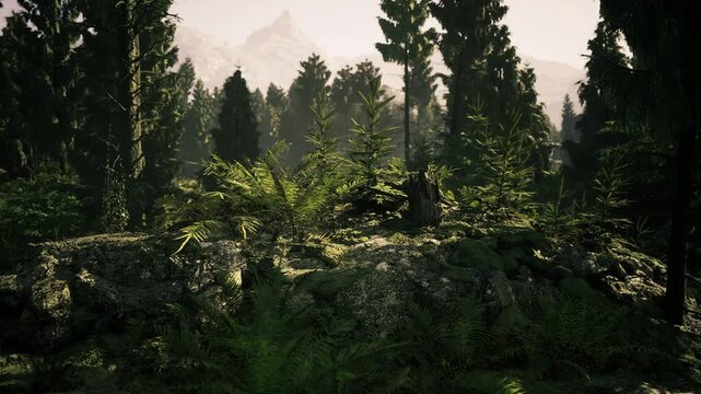 Misty dense evergreen thicket bathed in late sun backlight, tangled underbrush and glistening foliage, distant mountain silhouette rising beyond trees, deep