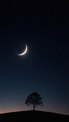 Naklejka premium Silhouette of single oak tree on hill against starry dark blue night sky with glowing crescent moon. Peaceful night nature landscape, solitude, astrophotography, and astronomy concept.