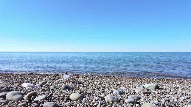 A pigeon walks along pebble beach with calm blue sea and clear sky in background.