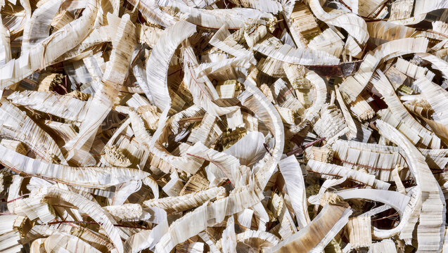 Experimental bio plastic shredded material texture background