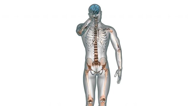 Human Suffering with Severe Headache Anatomy Animation Concept