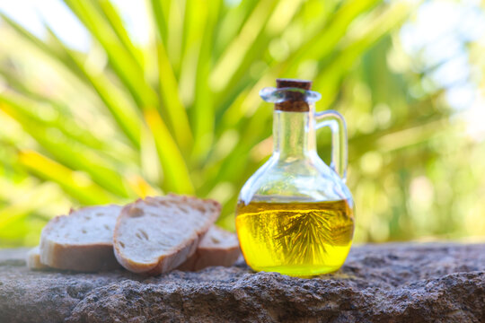 A clear glass bottle of olive oil and slices of bread rest on stone under bright sunlight with lush green leaves behind, evoking Mediterranean freshness and natural simplicity.