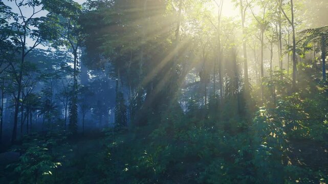 Mystic rays in thailand jungle morning, ethereal haze creating layered silhouettes and soft green palette, ancient atmosphere with quiet hush and subtle depth