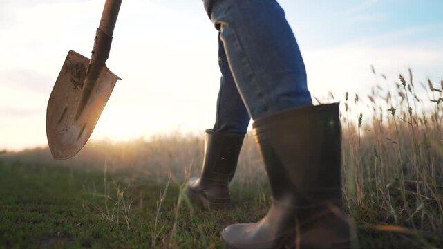 Farmer walking through green field at sunrise holding dirty shovel. Person in rubber boots walks on grass with garden tool. Agricultural worker carries spade in rural farmland during golden hour.