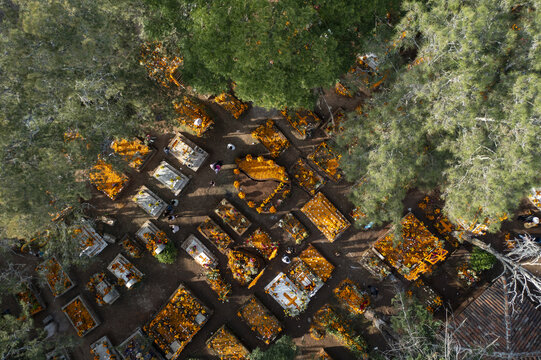 Aerial view of the Tzintzuntzan graveyard decorated with vibrant orange marigold flowers for the Day of the Dead celebration in Tzintzuntzan, Michoacan, Mexico.