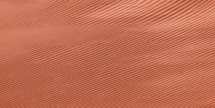 Wind-Sculpted Sand Ripples on Sahara Desert Dune Surface, Close-Up Abstract Pattern
