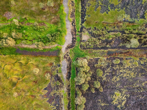 Aerial view of a wetland area with a cross-shaped intersection of paths, surrounded by vibrant green vegetation and dark patches of burnt peatland in Banjarbaru, South Kalimantan, Indonesia.