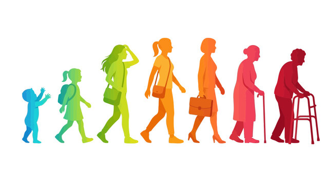 Colorful human silhouettes showing the developmental stages of a woman from childhood to old age
