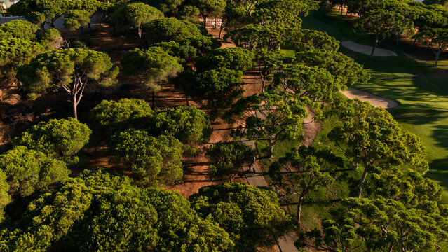 Aerial view of a lush green park with a pathway bisecting the manicured lawn and surrounded by dense trees on a sunny day Stock Photo