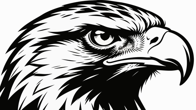 Black and white drawing of a fierce hawk's head with detailed feathers and a sharp beak, showcasing intense, expressive eyes.