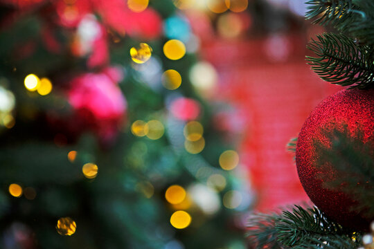 Red ball on a Christmas tree. New Year or Christmas. Background for a Christmas card. Background for advertising