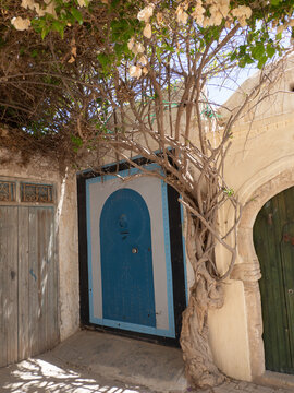 Murales en Djerbahood, Isla de Djerba, T&uacute;nez, &Aacute;frica