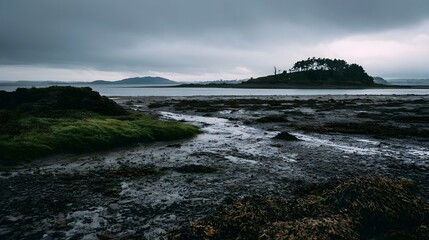 Fototapeta premium A low tide coastal scene featuring a muddy shoreline scattered seaweed and a distant tree covered island under an overcast sky