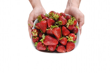 Hands Holding a Bowl of Fresh Red Strawberries © Ara