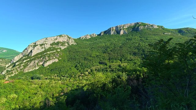 Red poppies bloom in sunlit valley greenery. Sicevo Gorge, Serbia.