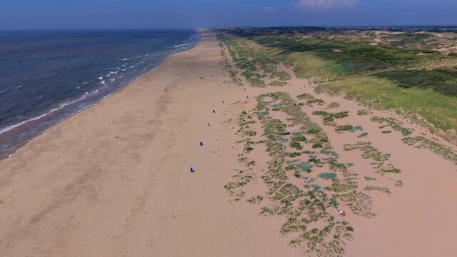 Aerial view video clip of expansive pristine sandy beach, coastal sand dunes, marram grass vegetation, and North Sea waves near Katwijk aan Zee, Netherlands on a sunny day