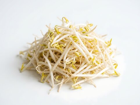 Fresh organic mung bean sprouts healthy natural food ingredient close up