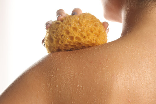 Description:
Rear view close-up of a woman washing her back with a sea sponge, shower routine, on white background.