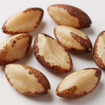 Watercolor Latin Nutrition. In Brazil And Latin America, Brazil Nuts Are Called Castanha Do Para