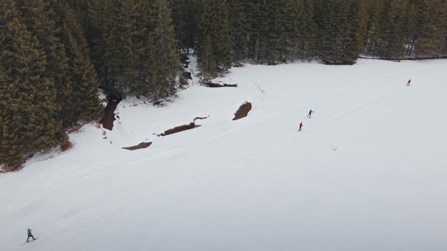 Cross-Country Skiing in Winter Wonderland: A serene winter landscape featuring a frozen lake surrounded by dense pine forest.