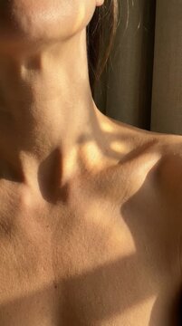 Close up of a womans neck and collarbone in warm golden hour sunlight, highlighting skin texture and shadows