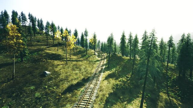 Sunny hillside railway leading through spindly conifers, conservationminded corridor with grassy patches and scattered rocks, warm glow and calm perspective