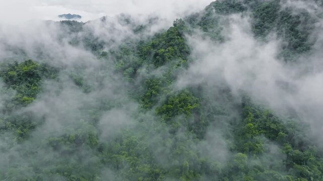 Thick Clouds Over Lush Green Mountain Forest in Morning