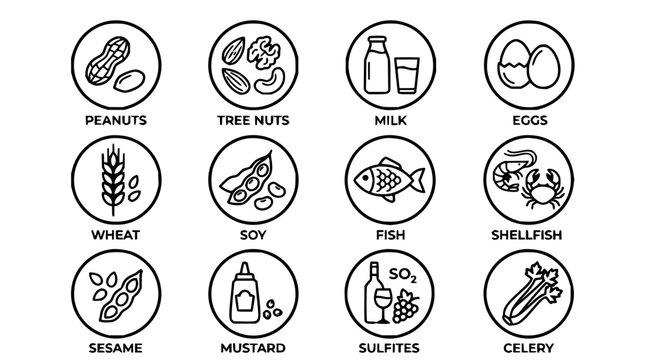 Food allergen icons set with minimalist line art featuring peanuts, dairy, gluten, eggs, and shellfish with white background and simple symbols