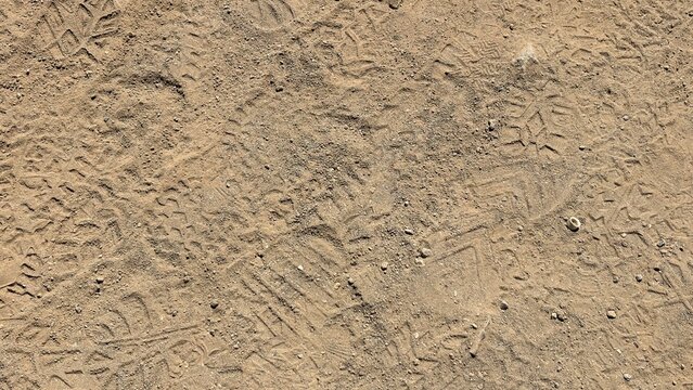 Top view close up of multiple shoe footprints embedded in dry dirt path