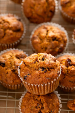 Pumpkin muffins with pecans and dried cranberries on a cooling rack