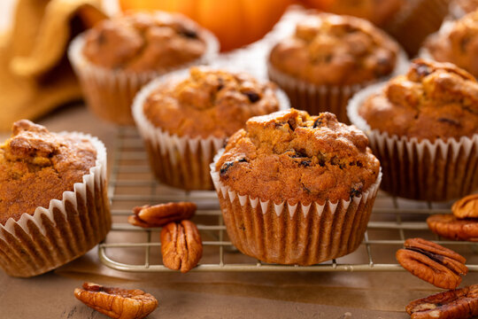 Pumpkin muffins with pecans and dried cranberries on a cooling rack