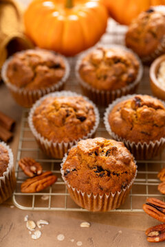 Pumpkin muffins with pecans and dried cranberries on a cooling rack