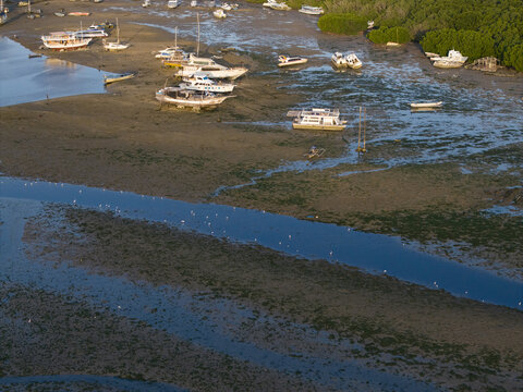 Aerial view of a great egret wading in a mangrove tidal flat with moored boats at low tide in Denpasar Selatan, Bali, Indonesia.
