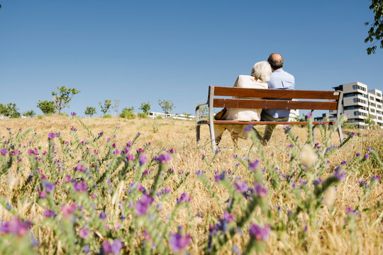 Senior couple sitting on bench with wildflowers in summer