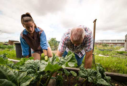 Nurturing growth across generations