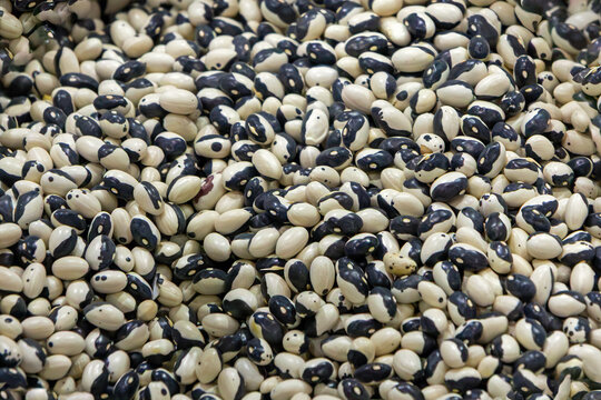 Large pile of black eyed peas beans legume grown around the world for its medium sized edible bean pattern background