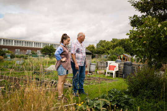 Planning the next task &mdash; father and daughter in their allotment