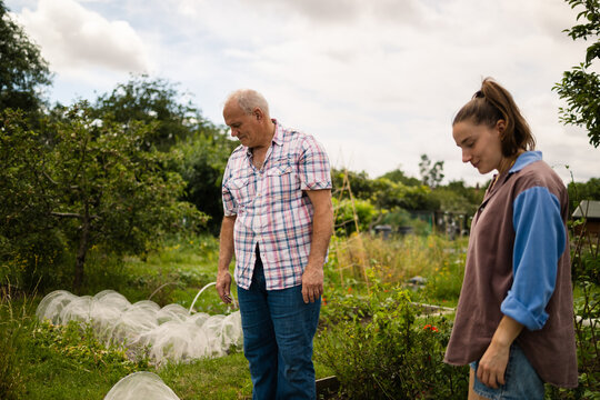 Pausing to check the garden's progress
