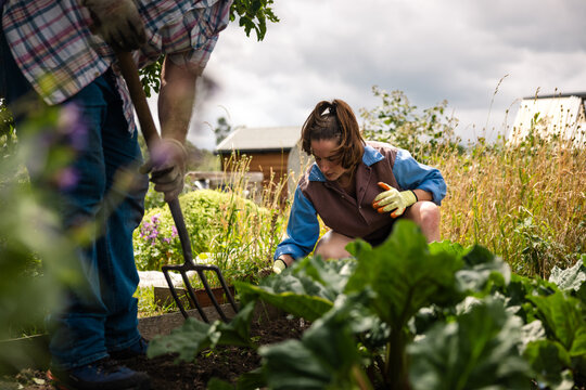 A shared harvest, generations apart