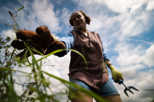 The art of weeding on a bright summer afternoon