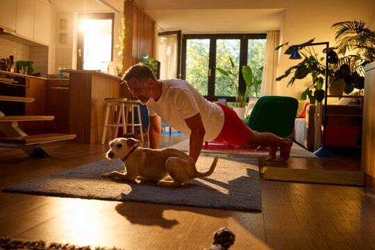An active man works out at home with his dog by his side.