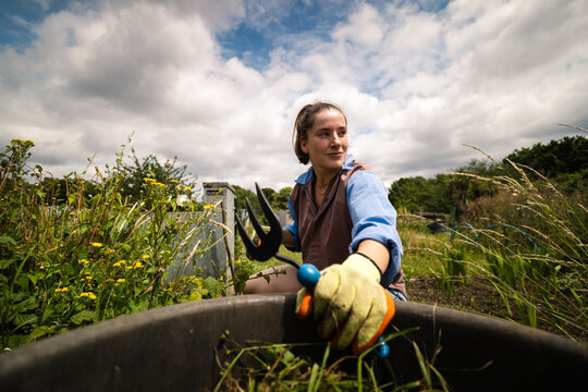 Working in the garden during summer