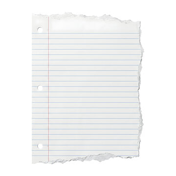 Torn sheet of lined notebook paper with three ring binder holes for professional document design on transparent  background