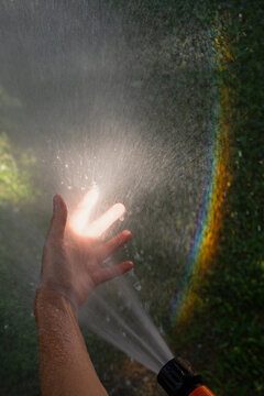 Sunlight Shining Through Hand and Garden Spray
