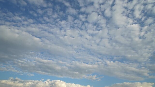 Many small patchy white cirrocumulus clouds across blue sky.