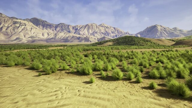 managed shrub clusters under clear sky with visible plots and soil texture, suited for sustainable land management content, grazing plans, and monitoring