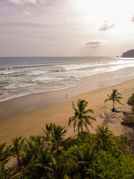 Aerial view of a sandy beach with lush palm trees, gentle ocean waves, and a person walking along the shore at sunset in San Miguel, Provincia de Guanacaste, Costa Rica.