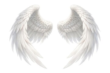 Obraz premium Elegant white angel wings illustration.