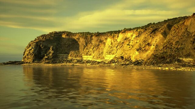 Seabird colony nesting on rugged cliff ledges, calls and wing movement punctuate coastal wind, visible nests and chicks among rocky outcrops, conservation