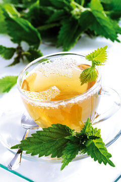 Stinging nettle tea